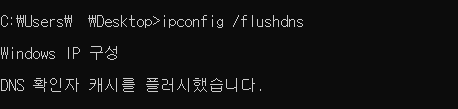 DNS 확인자 캐시 결과 값